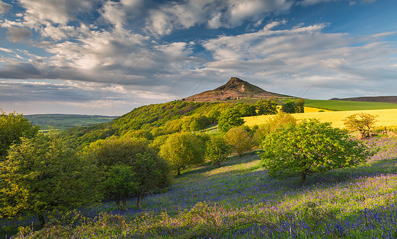 -_DSC0057-20-05-2015-Edit