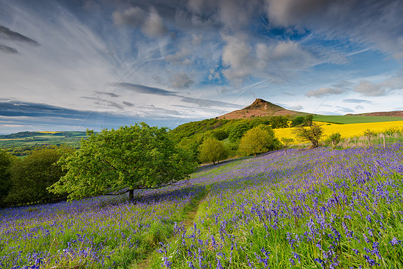 -_DSC0129-22-05-2015-Edit