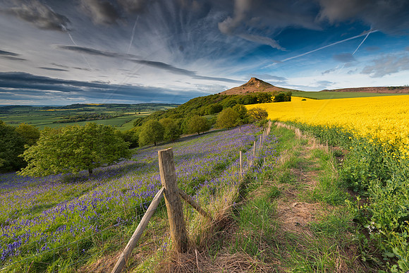-_DSC0138-22-05-2015-Edit