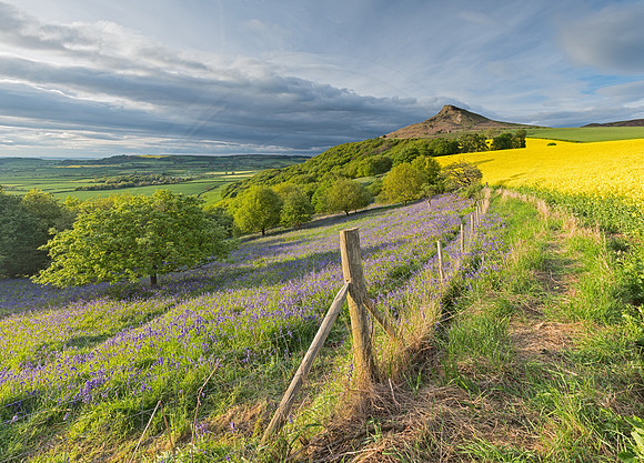 -_DSC0171-22-05-2015-Pano-Edit