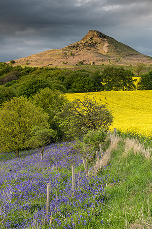 -_DSC0205-22-05-2015
