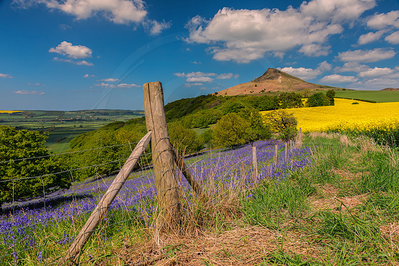 -_DSC0083-23-05-2015-Edit