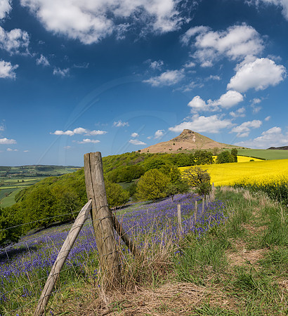 -_DSC0106-23-05-2015-Pano