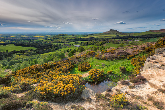 -_DSC0313-30-05-2015-Edit