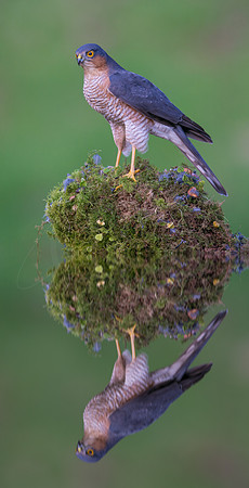 -_DSC3023-21-10-2012-Edit