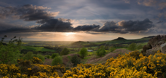 -_D800068-06-05-2014-Edit