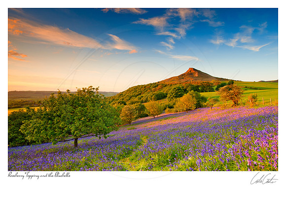Roseberry Topping and the Bluebells