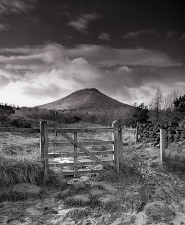 -_DSC1204-30-12-2012