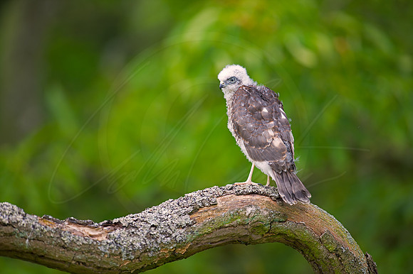 -_D4S0307-13-07-2014-Edit