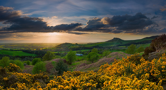 -_D800063-06-05-2014-Edit