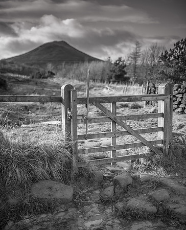 -_DSC1202-30-12-2012