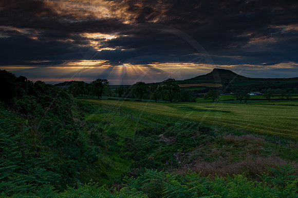 -_ND30072-28-06-2011-Edit