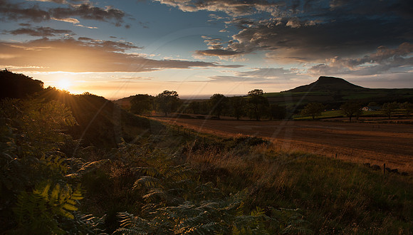 -ND3_0012-10-09-2011